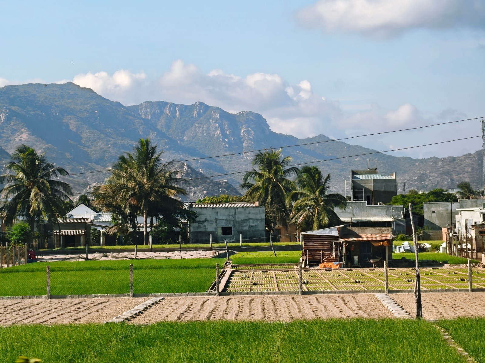 lang thang Ninh Thuận